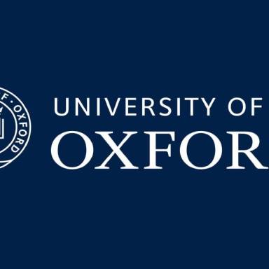 Літня школа Oxford Ukraine Hub 2025