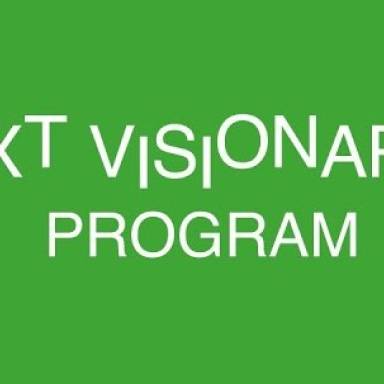 Програма з євроінтеграції та лідерства для молоді Next Visionaries Program 2025