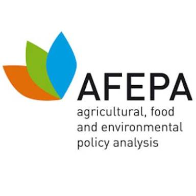 Програма AFEPA master’s programme Scholarship 2026