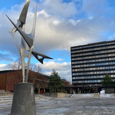 Міжнародна літня школа - International summer school 2026 | University of Oslo