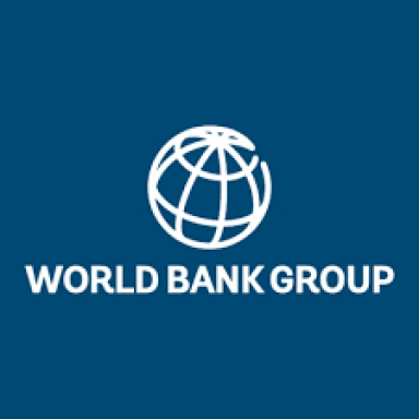 Оплачуване стажування WBG Pioneers Internship Programme (World Bank Group)