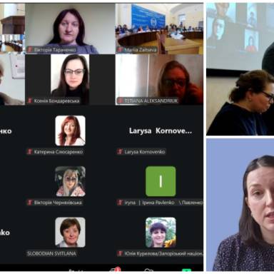 Лідерство жінок заради стійкості: участь представниць УМСФ у круглому столі