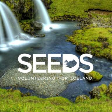 Навчальні табори в Ісландії