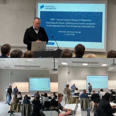 Участь  УМСФ у воркшопі Halmstad University